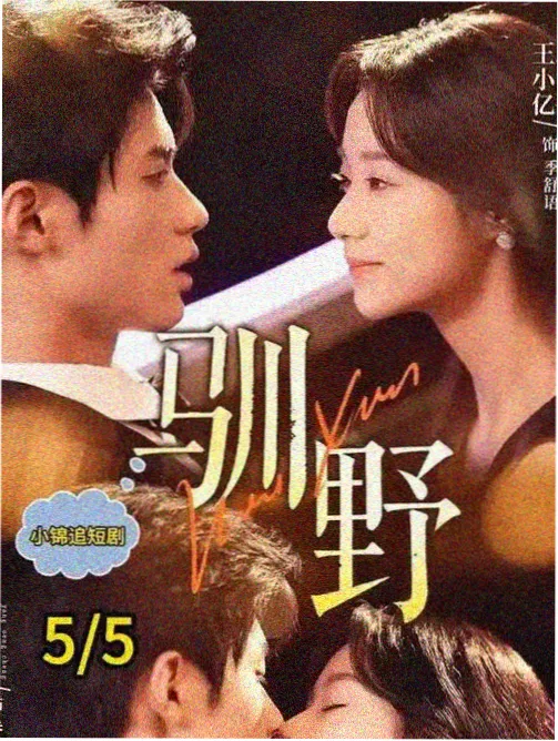 漫画控档案室工作台上的标签盒与索引卡